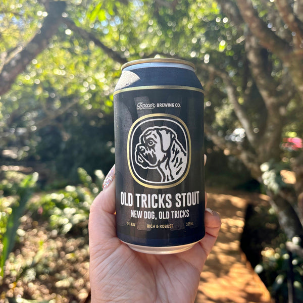 BXR Old Tricks Stout 4 Pack