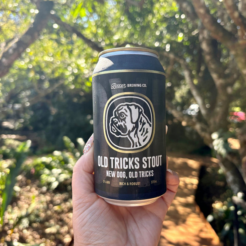 BXR Old Tricks Stout Carton (16)